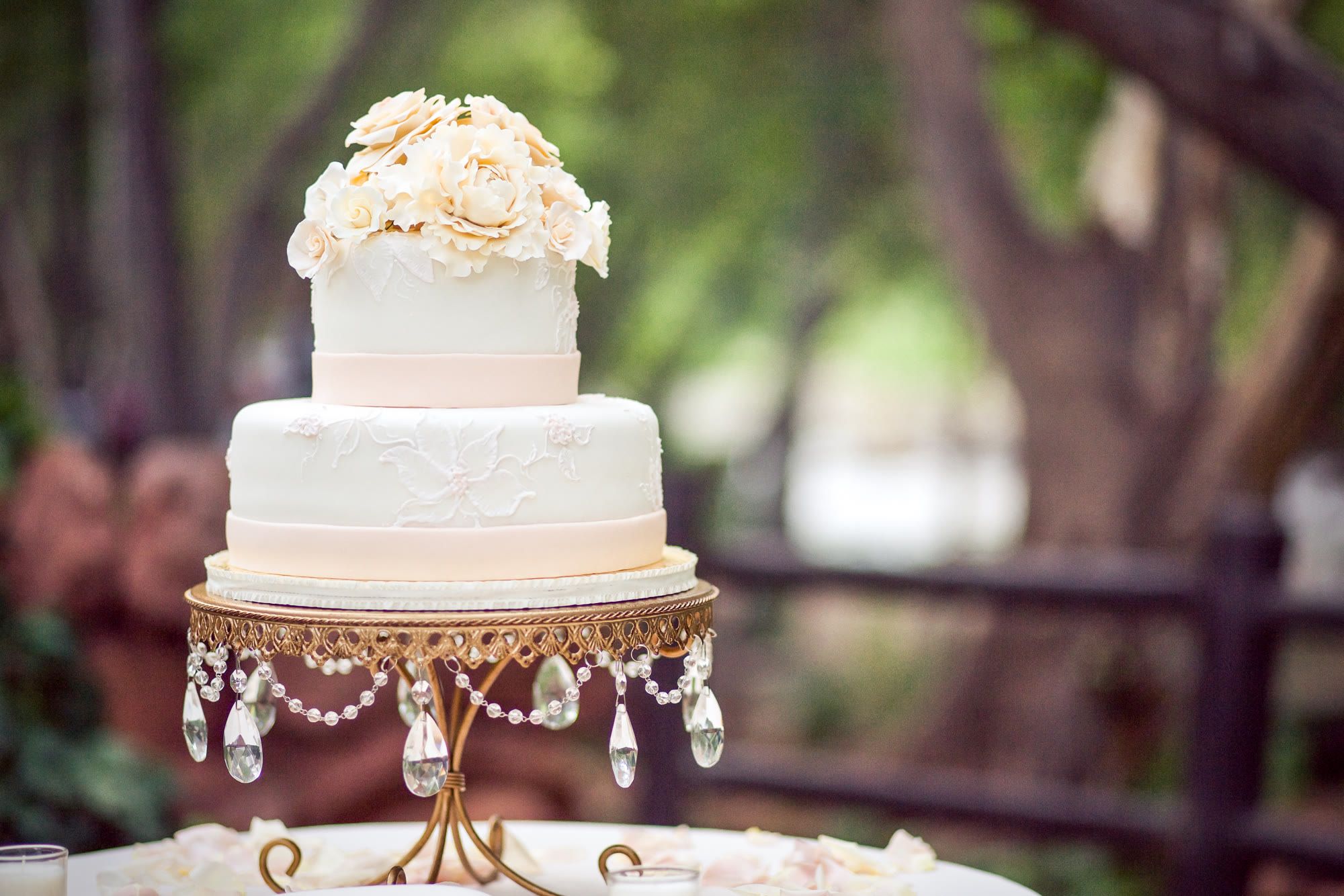 Event photography, image 2
