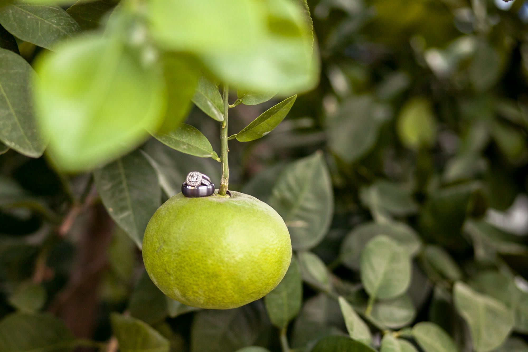 Event photography, image 23